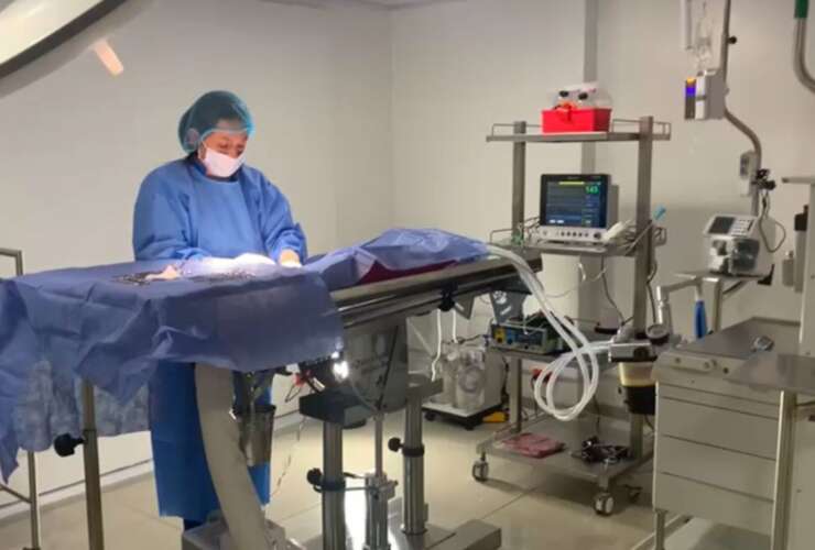 Cirugía Veterinaria
