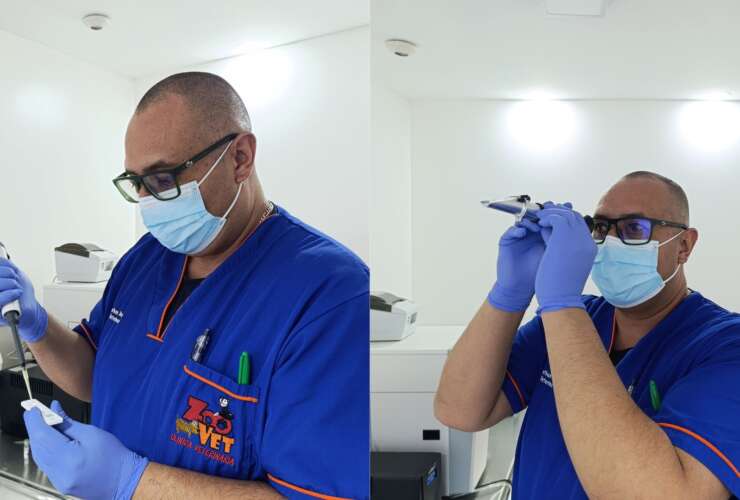 Laboratorio
